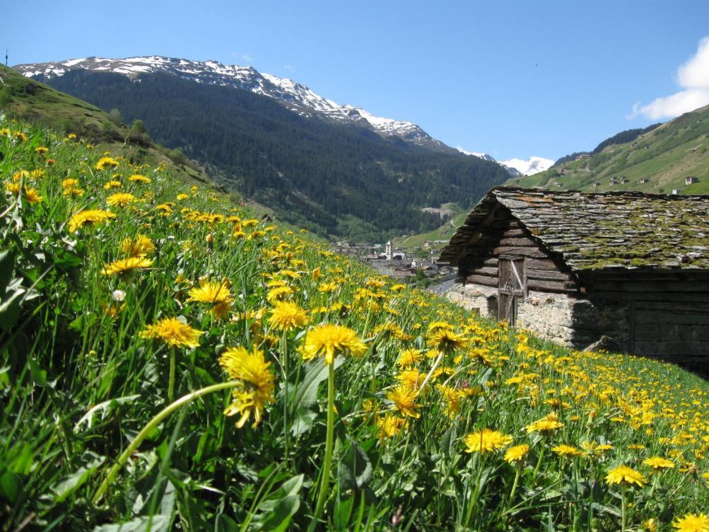 Ferienwohnung Mura Vals Zewnętrze zdjęcie