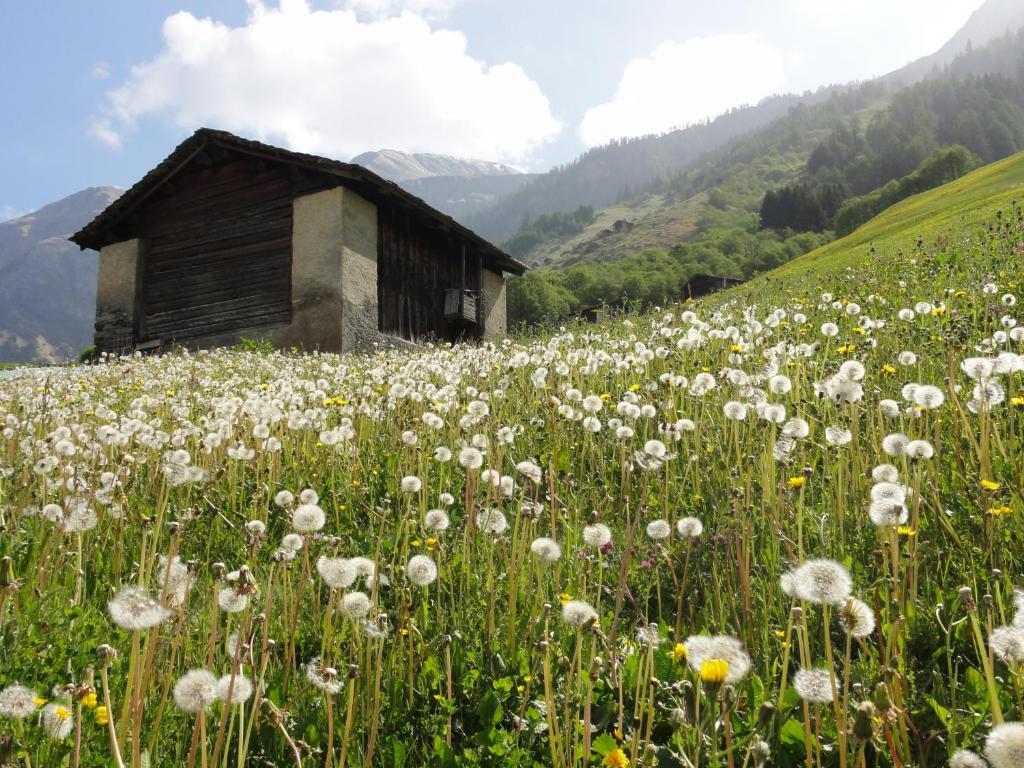 Ferienwohnung Mura Vals Zewnętrze zdjęcie